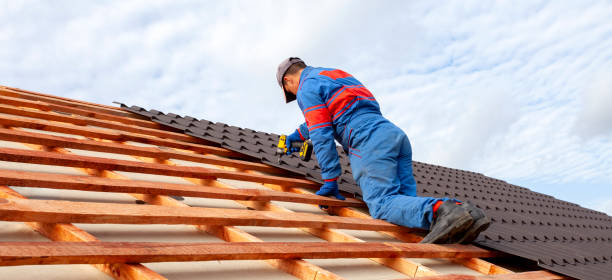 Best Gutter Installation and Repair  in Sidney, IL